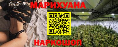Альфа ПВП Будённовск