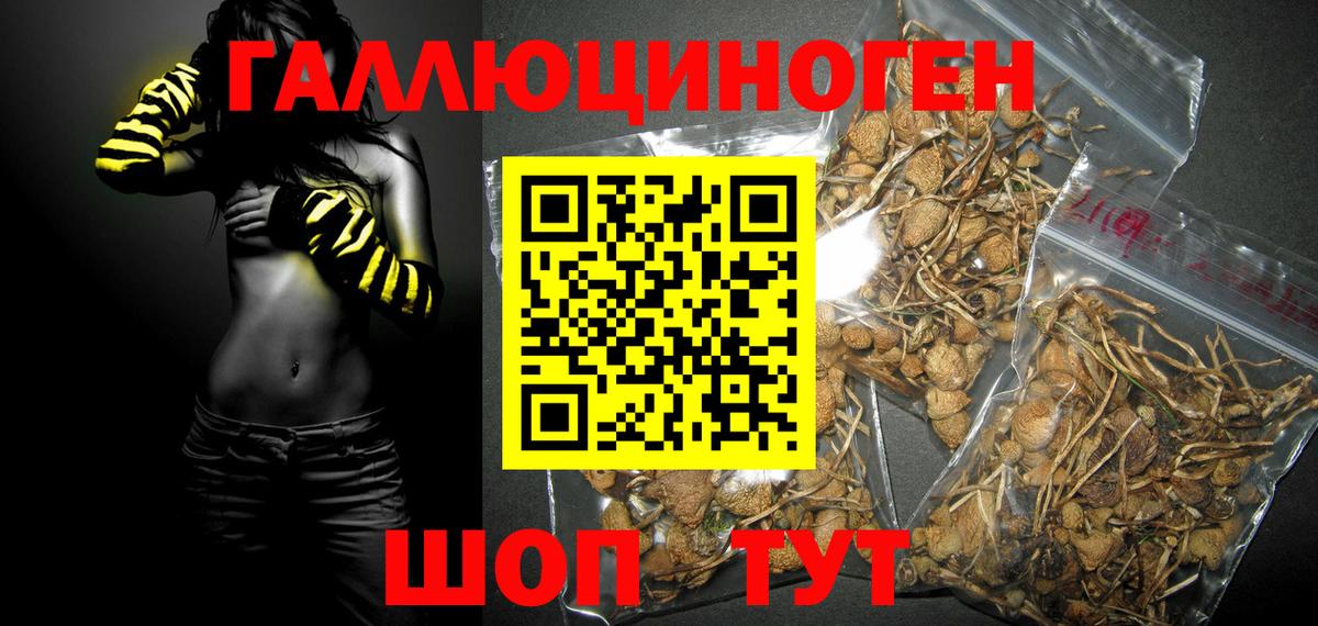 Лобня  Галлюциногенные грибы MAGIC MUSHROOMS  Вход с VPN 